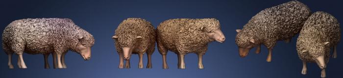 3D model shepherd and sheep.5 (STL)